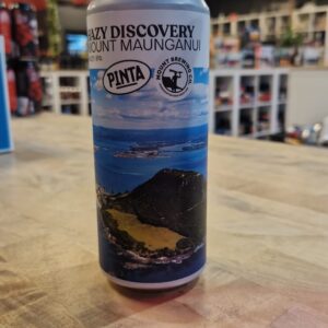 Pinta - Hazy Discovery Mt Maunganui