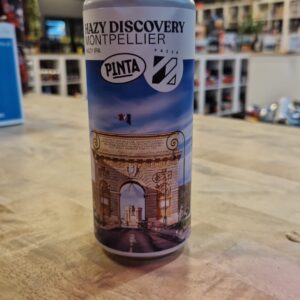 Pinta - Hazy Discovery Montpellier