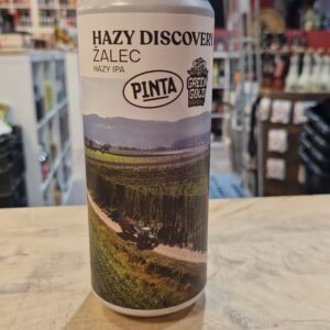 Pinta - Hazy Discovery Zalec