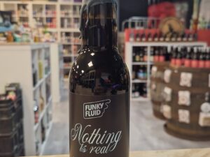 Funky Fluid - Nothing Is Real