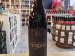 Transient - Kamigoye 2023