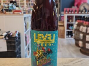 Level - Barrel Aged Neon Snowsuit (Winter Warmer)