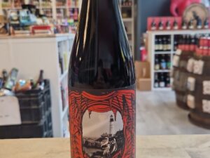 Bissell Brothers - Angels With Filthy Souls 2024