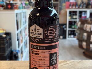 Bottle Logic - Flesh To Stone 2025