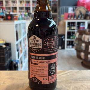 Bottle Logic - Flesh To Stone 2025