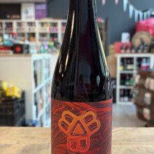 Bissell Brothers - Presence of Another World 2025