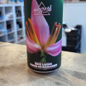 Mogwaï - I Decided To Stay A Flower