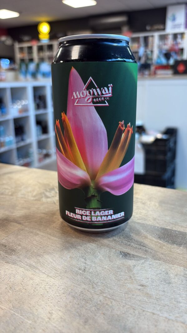 Mogwaï - I Decided To Stay A Flower