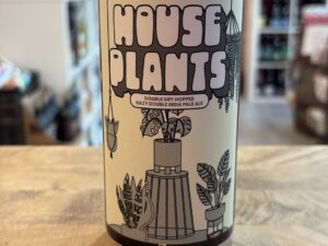 Phase Three - House Plants