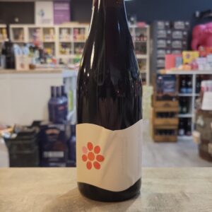 everywhere - do we arrive by choice?