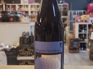 Private Press - Between Raindrops