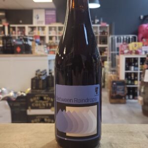 Private Press - Between Raindrops