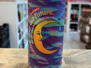 Elmeleven - Remember Our Future (PULP)