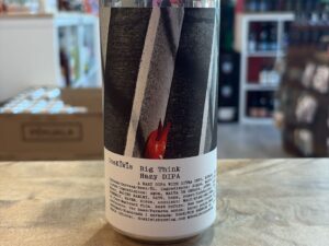 DosKiwis - Big Think