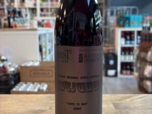 Transient Artisan Ales - Kamigoye (2025)