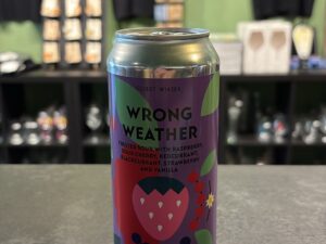 FUERST WIACEK Berlin - Wrong Weather