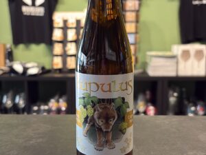 Brasserie Lupulus - Lupulus Blonde